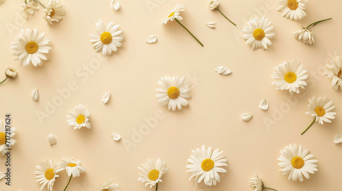 Small white daisies lined around a cream-colored backdrop, wedding, Flat lay, top view, with copy space
