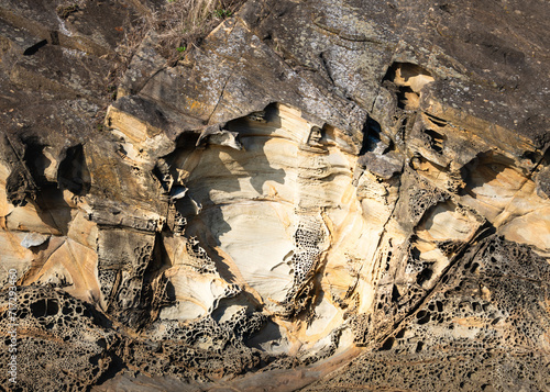 Tafoni rock formation along the coast of Sucia Island Marine State Park - San Juan Islands - Washington