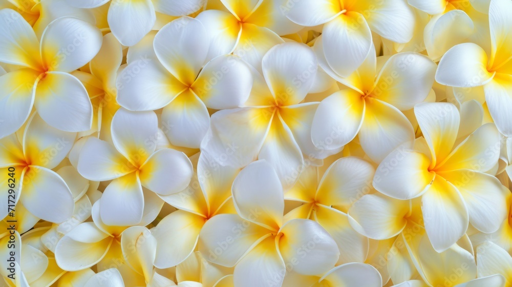 Tropical frangipani flowers in full bloom generative ai Tropical frangipani flowers in full bloom generative ai