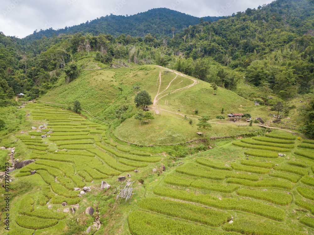 Aerial view of rice terraces in Ban Li Khai village in rural area of Chiang Rai province of Thailand.