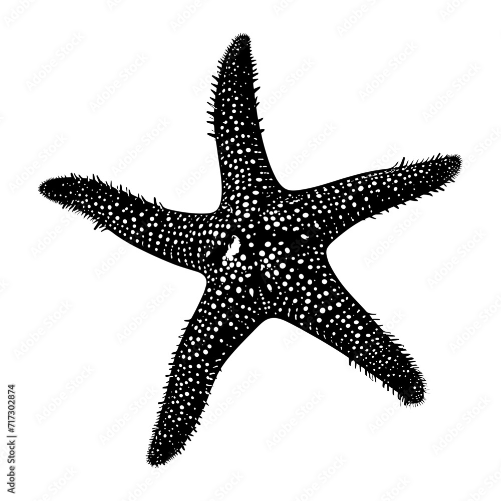 Silhouette starfish black color only Silhouette starfish black color only