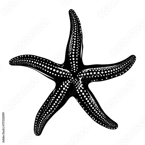 Silhouette starfish black color only