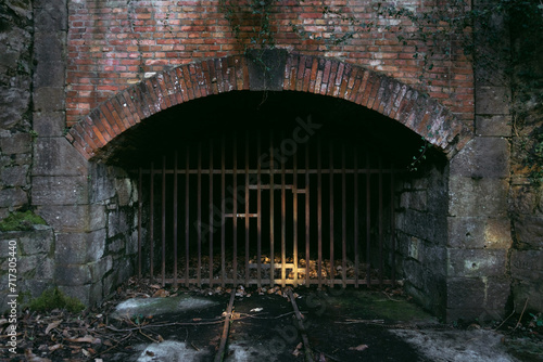 Bild auf Leinwand Dark entrance to a closed mine tunnel