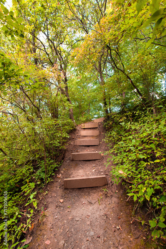 Foot steps on hiking trail in Ontario Canada Foot steps on hiking trail in Ontario Canada