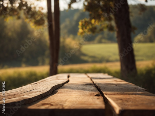 rustic wooden counter, landscape background