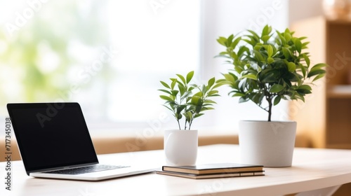 Closeup of a minimalist desktop setup with a laptop, a plant, and a single notepad, reflecting a productivityfocused lifestyle.