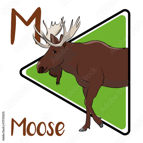 The moose is the tallest and the second-largest, land animal in North America. Adult moose use their antlers or hooves to defend themselves from predators like bears and wolves. Moose mostly diurnal.