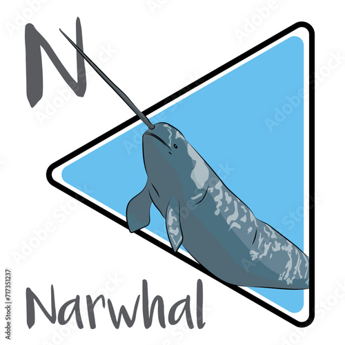 The narwhal is a species of toothed whale. Narwhals are animals of myths and legends. Scientists don’t know exactly why narwhals have tusks. The pigmentation of narwhals is a mottled pattern.
