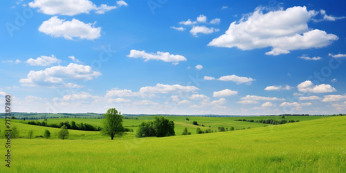 Green farm skyline under blue sky and white clouds Field of bright fresh green grass and blue sky.AI Generative 