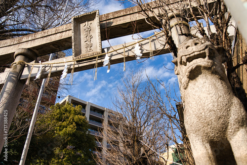 小野照崎神社 photo