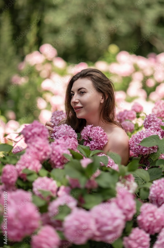 Hydrangeas Happy woman in pink dress amid hydrangeas. Large pink hydrangea caps surround woman. Sunny outdoor setting. Showcasing happy woman amid hydrangea bloom.