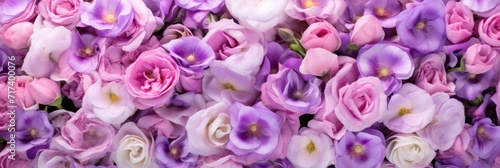 close up of purple flower photo
