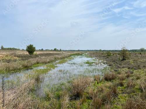 Wetlands at the Drents-Friese Wold National Park