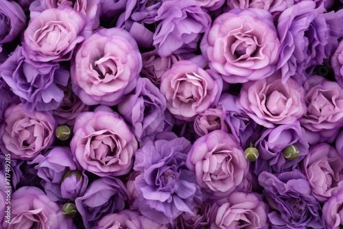 colorful background of purple pink flowers