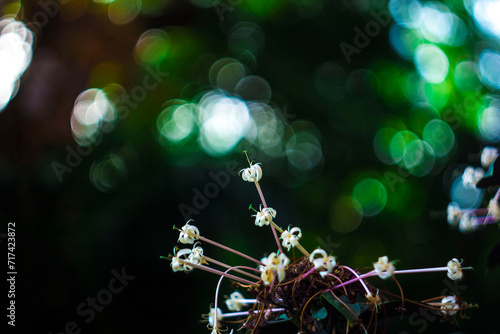 ,Defocused image of lights on street amidst buildings,Defocused image of illuminated lights in city against sky at night,Full frame shot of abstract pattern