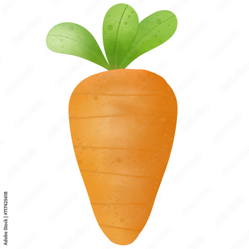 Carrot Carrot
