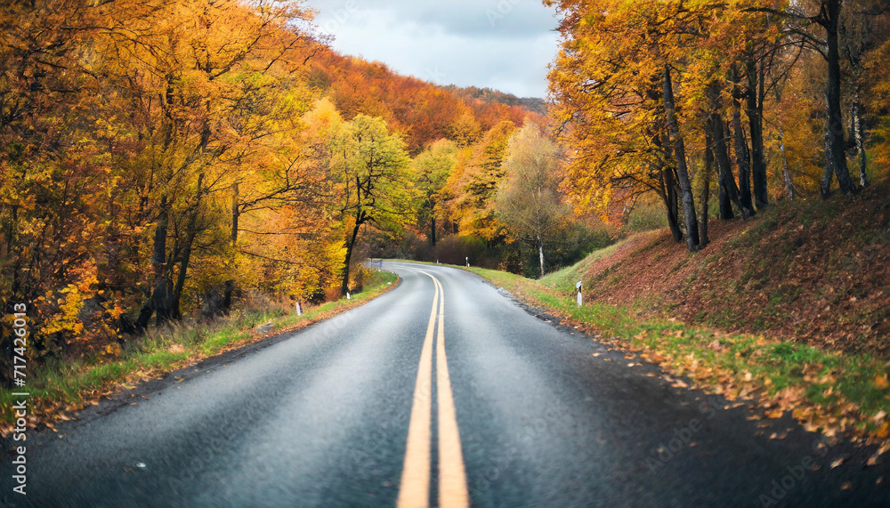 autumn scene with golden leaves on a winding road, creating a picturesque journey through nature's colorful embrace