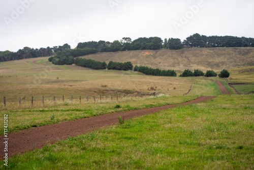 laneway on a livestock farm in a gateway on a agriculure farm in austrlian in a dry summer