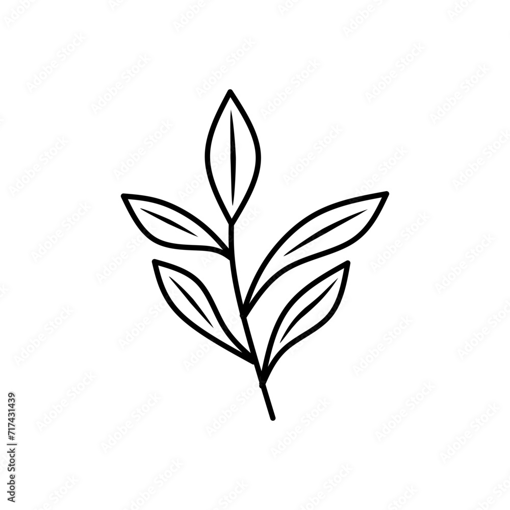Black and white leaf drawing suitable for nature themed designs, organic products, environmental campaigns, educational materials, and minimalist aesthetic concepts.