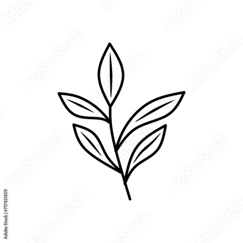 Black and white leaf drawing suitable for nature themed designs, organic products, environmental campaigns, educational materials, and minimalist aesthetic concepts. © Nauful