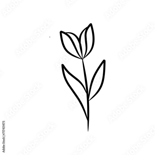 Close up of black and white flower drawing  suitable for floral designs  print materials  coloring books  and nature themed projects.