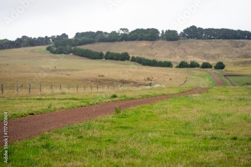 laneway on a livestock farm in a gateway on a agriculure farm in austrlian in a dry summer