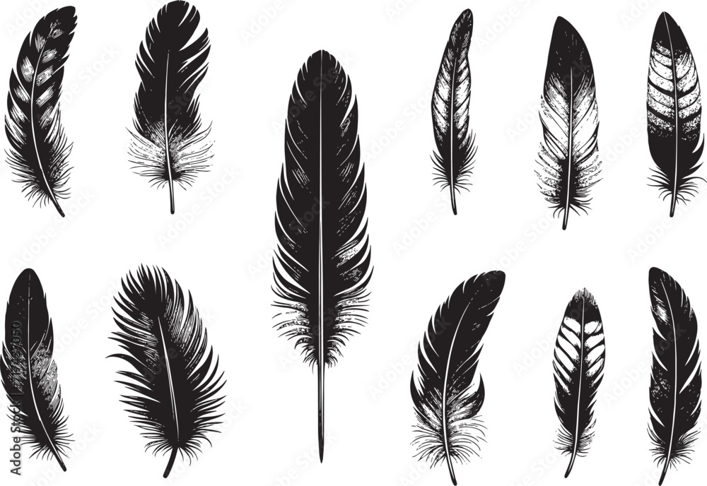 set of birds feathers black and white vector set of birds feathers black and white vector
