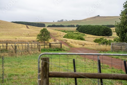 Photos shut farm gate on a livestock farm in australia in summer