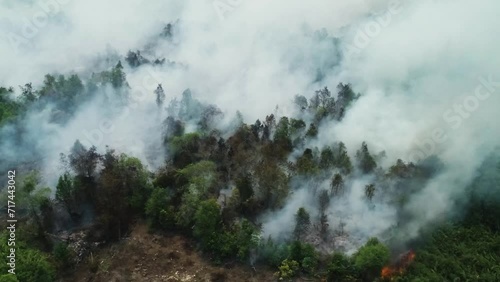 Dramatic aerial footage of forest fires in Riau, Indonesia | Kebakaran hutan Riau 4K drone photo