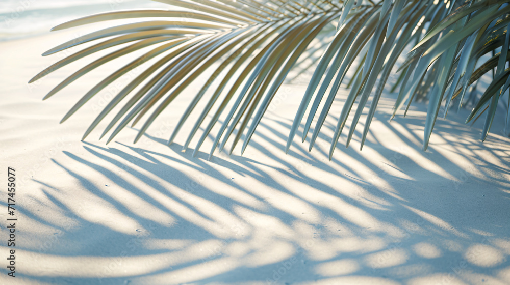 Bask in the Tranquil Ambience of the Shadow of Palm Leaves on a Clean White Sand Beach. Bask in the Tranquil Ambience of the Shadow of Palm Leaves on a Clean White Sand Beach.