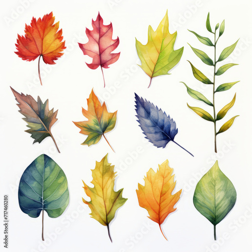 Set of leaf watercolor 