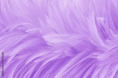 Purple pastel color bird feather pattern texture for background and design.