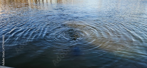 Ripples in the water