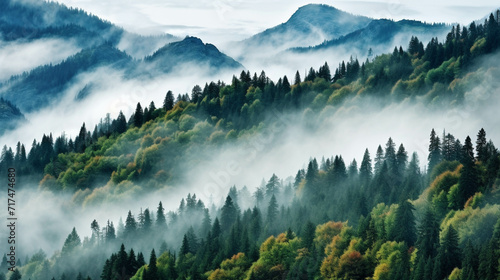 misty morning in the mounta ins high definition(hd) photographic creative image photo