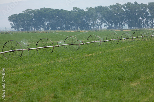 An irrigation system with steel wheels spraying water on a green farm field on a hot Summer day. Nr. 1