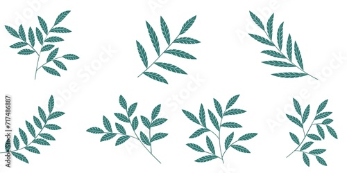 Set of Doodle Tree Branch Vector Isolated Sticker.