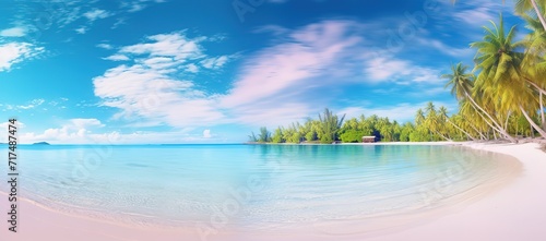 A beach with clear light blue water and clear skies and palm trees on the edge