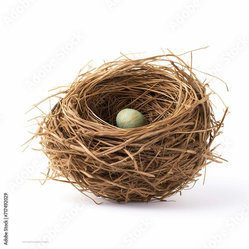stock photo bird nest, isolated on white background
