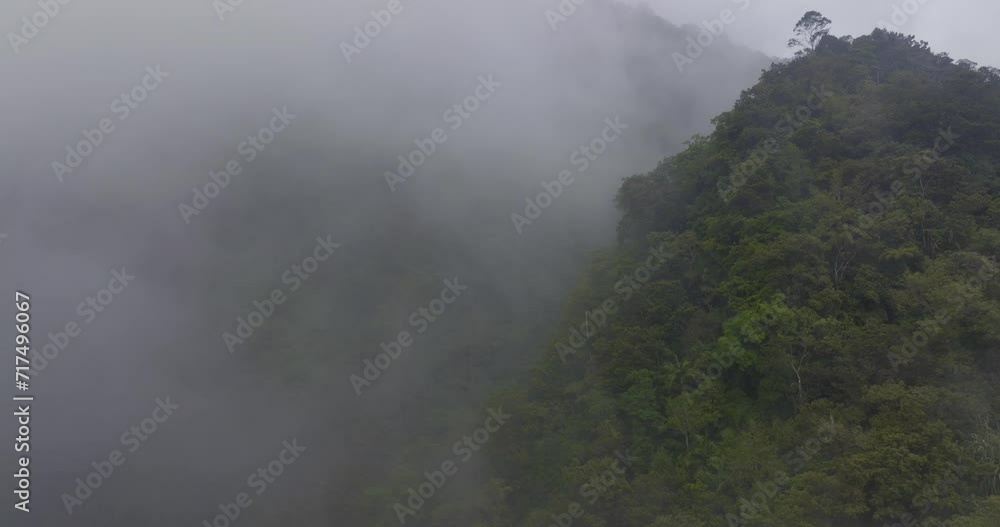 Mystic and foggy drone flight over tropical rainforest. Agung volcano slope Mystic and foggy drone flight over tropical rainforest. Agung volcano slope