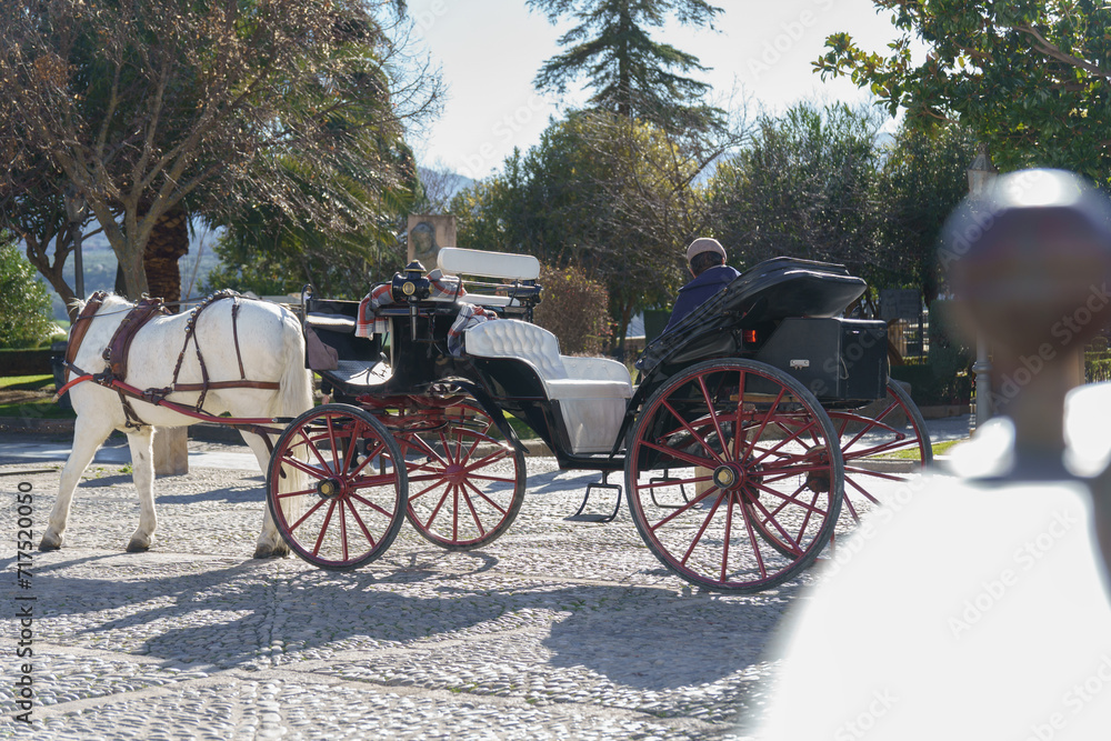 horse-drawn carriage with a white horse in a public park horse-drawn carriage with a white horse in a public park