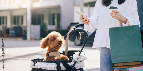 Young asian woman using mobile phone and holding coffee cup with shopping bag after shopping in her holiday with dog in cart photo