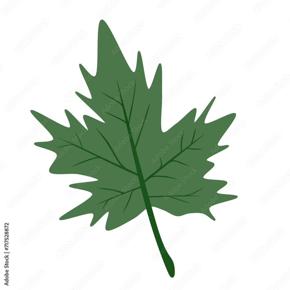 Doodle leaves cute leaf illustration watercolor botanical drawing with green color that can be used for sticker, icon, decorative, e.t.c Doodle leaves cute leaf illustration watercolor botanical drawing with green color that can be used for sticker, icon, decorative, e.t.c