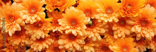 bouquet of orange chrysanthemums closeup photo