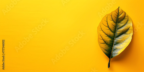 yellow colored tropical leaf on isolated yellow back, copy space, banner, generative ai