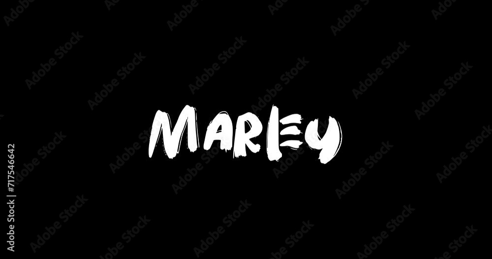 Marley Female Name in Digital Grunge Transition Effect of Bold Text Typography Animation on Black Background Marley Female Name in Digital Grunge Transition Effect of Bold Text Typography Animation on Black Background