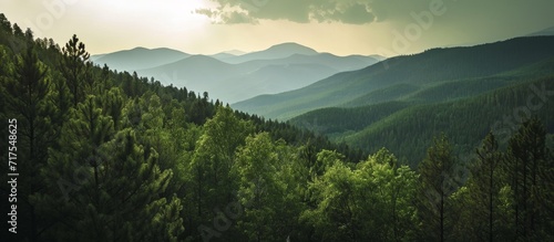 Stunning stock photo of a mountain forest landscape with a striking sky