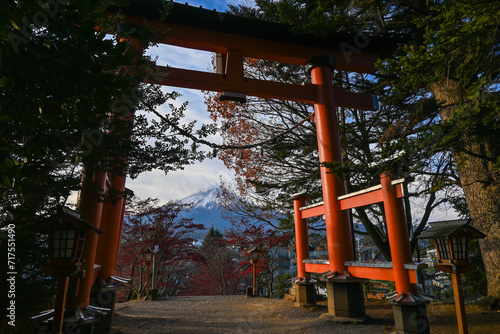Torii gate Fuji