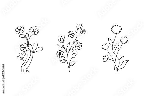 Set of differents flower linen on white background.Set of luxury flowers and logo. trendy tiny tattoo design  floral elements vector illustration