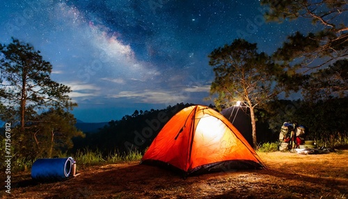 Moonlit Serenity: Night Camping in the Enchanted Forest"