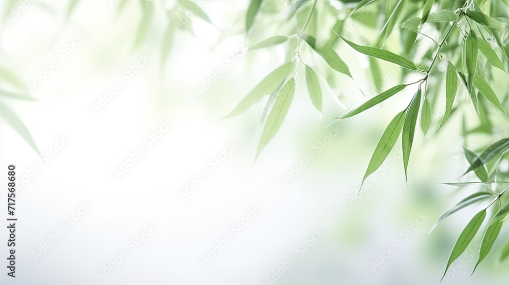 Bamboo leaves with sunlight and bokeh